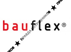 Bauflex, Группа компаний